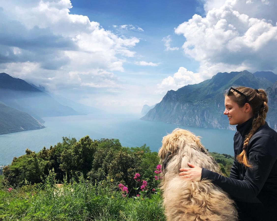 Club Nautico - Phoenix Studio Lake View Riva del Garda Eksteriør billede
